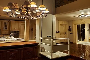 Açık Tip Dikey Engelli Platformu